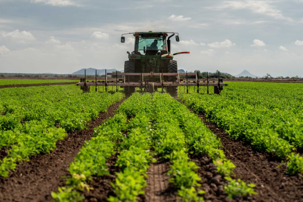 Native American Rural Development Tribal Departments of Agriculture - Native American Agriculture Fund