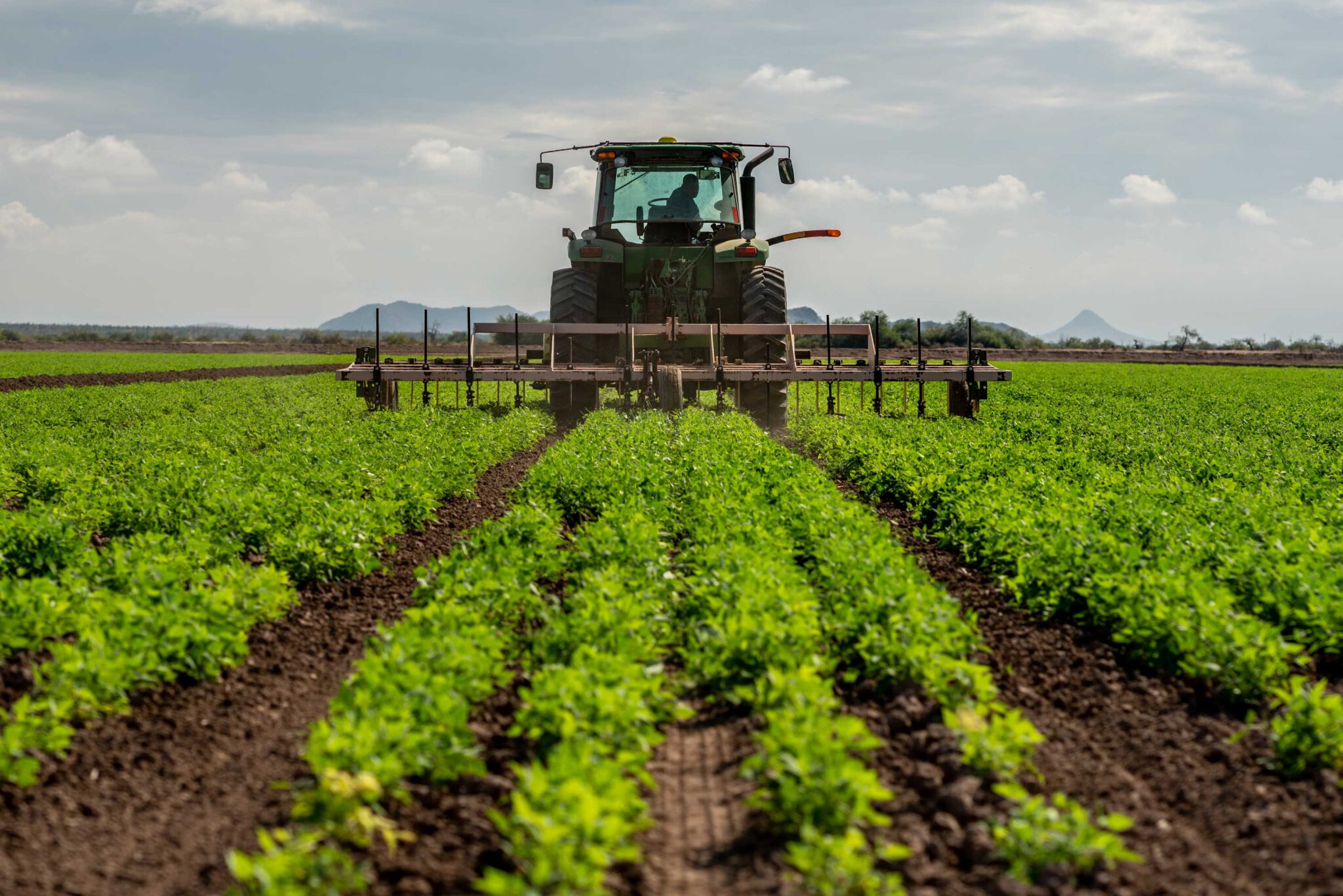 Tribal Departments of Agriculture - Native American Agriculture Fund