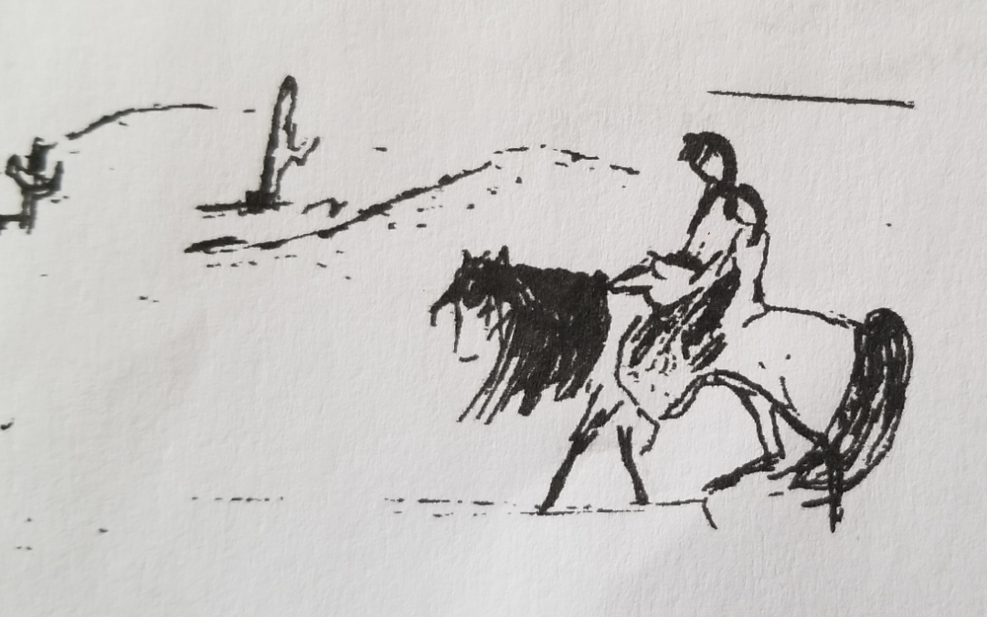 Native American Horse Education Foundation