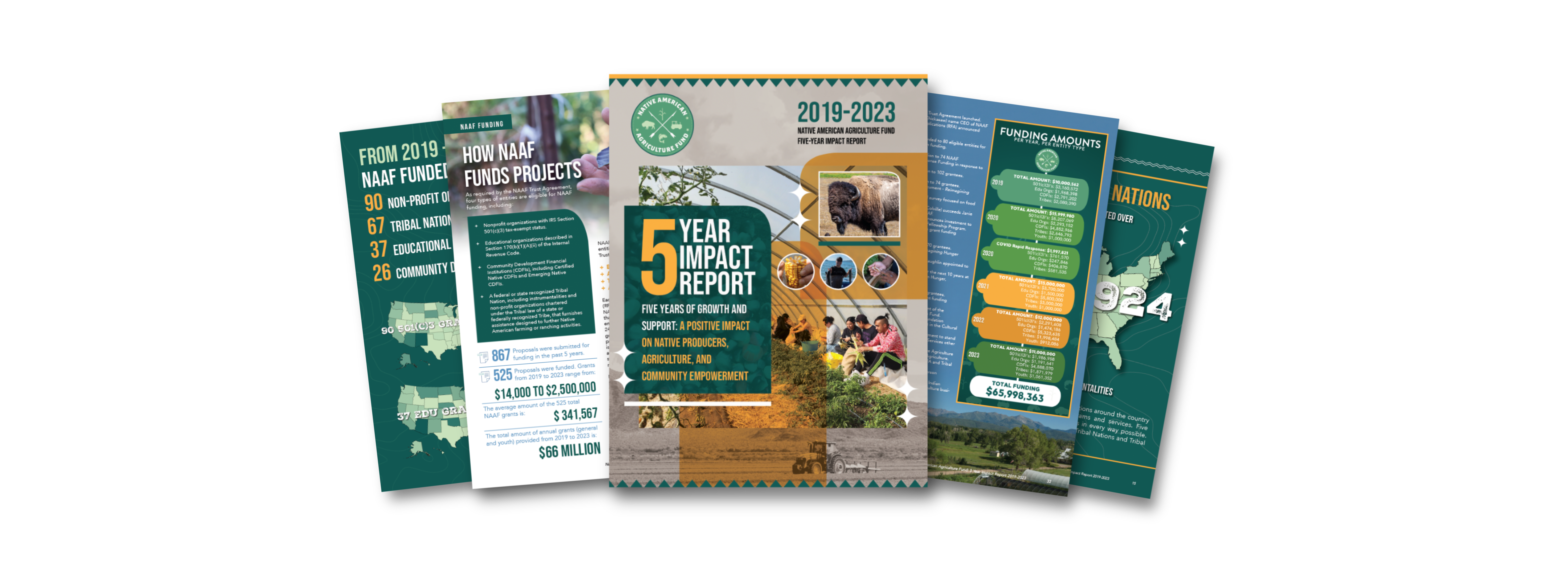 NAAF releases its 5 Year Impact Report