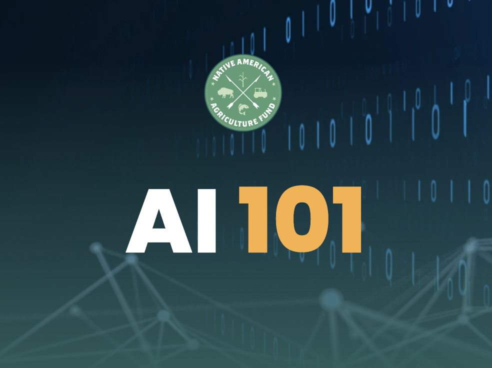 AI: 101