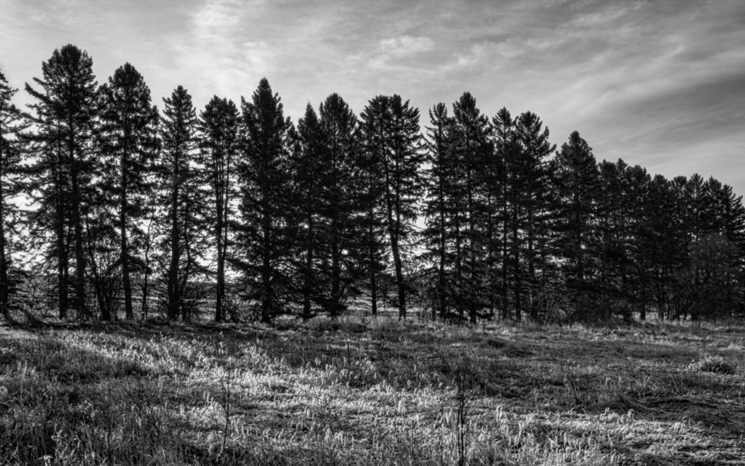 From Vision to Viability: The Coushatta Tribe’s Department of Agriculture Leads the Way