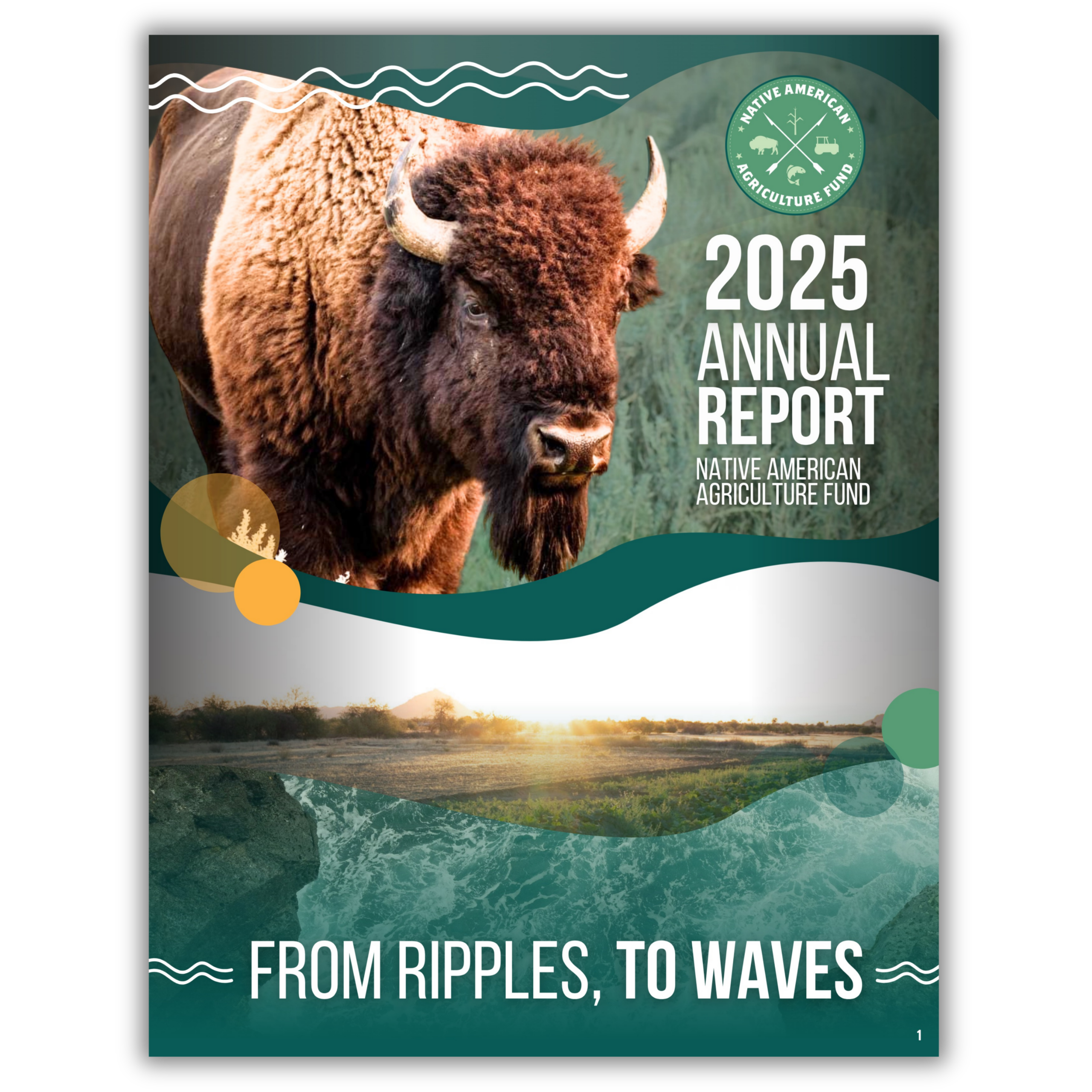 NAAF Tribes Grantee Impact 2019 - 2025