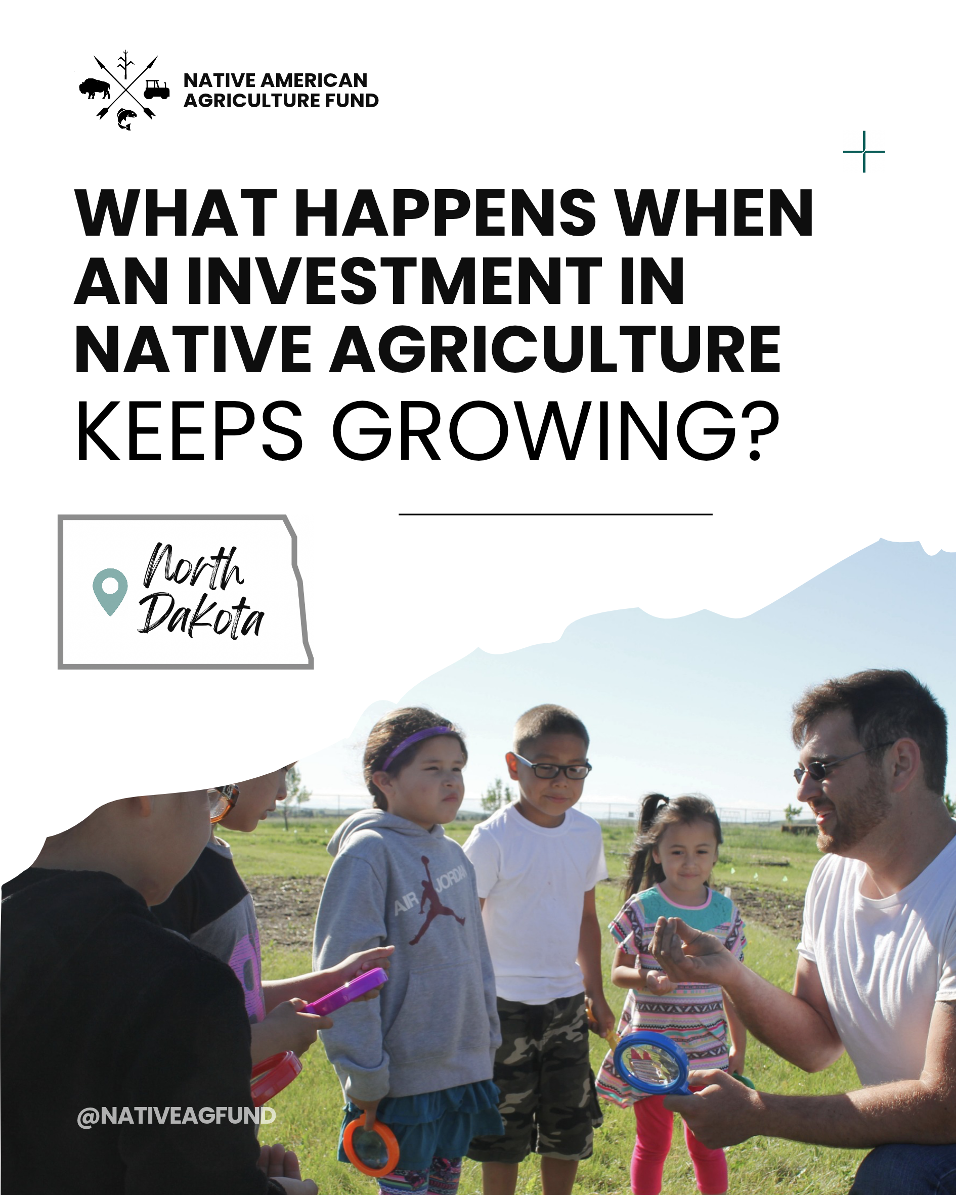NAAF Tribes Grantee Impact 2019 - 2025